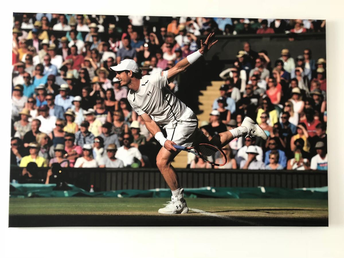 Pension Tennisweber Schwechat Buitenkant foto